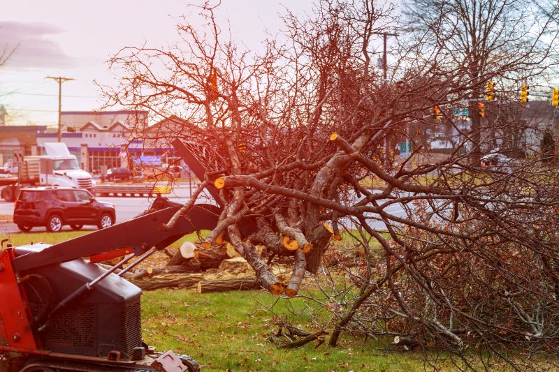 Land Clearing