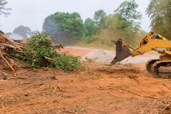 Ground Clearing in Fuquay Varina