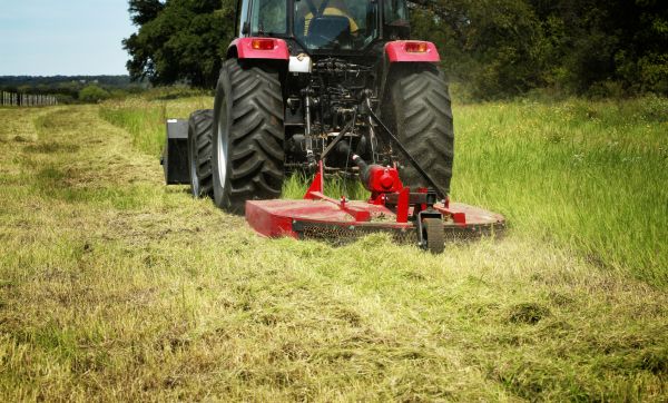 Brush Clearing Service in Fuquay Varina