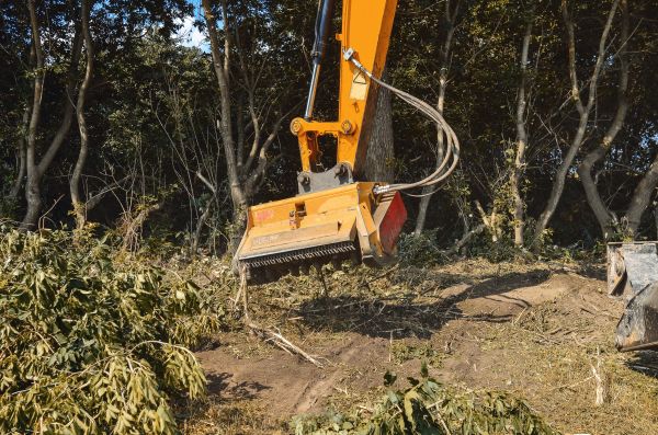 Brush Removal Service in Fuquay Varina