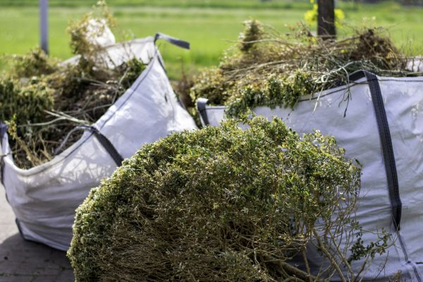 Bushes Clearing in Fuquay Varina