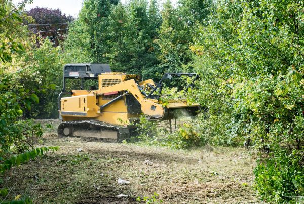 Pathway Clearing in Fuquay Varina